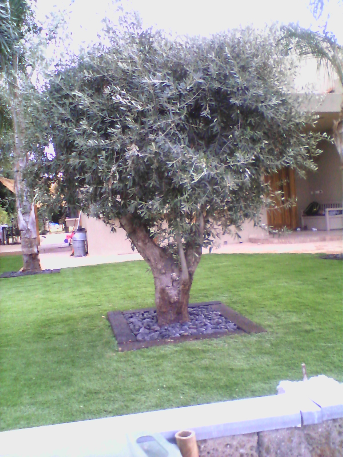 עיצוב עם אדני רכבת